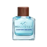 HOLLISTER Canyon Escape for Him toaletní voda pro muže   100 ml