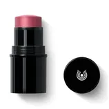 DR. HAUSCHKA Lip to Cheek Multifunkční tvářenka v tyčince 6,1 g 03 Rosewood