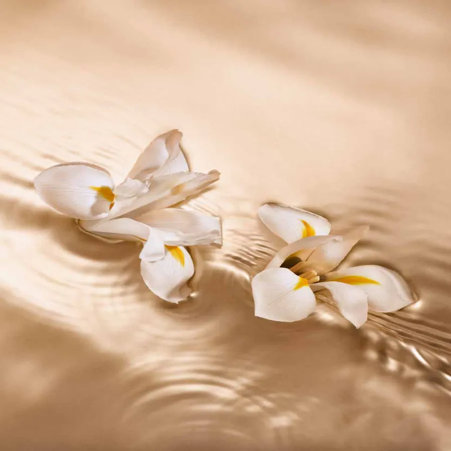 JIMMY CHOO Seduction Collection Iris Crush parfémovaná voda pro ženy