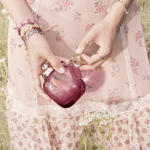 Coach Wild Rose