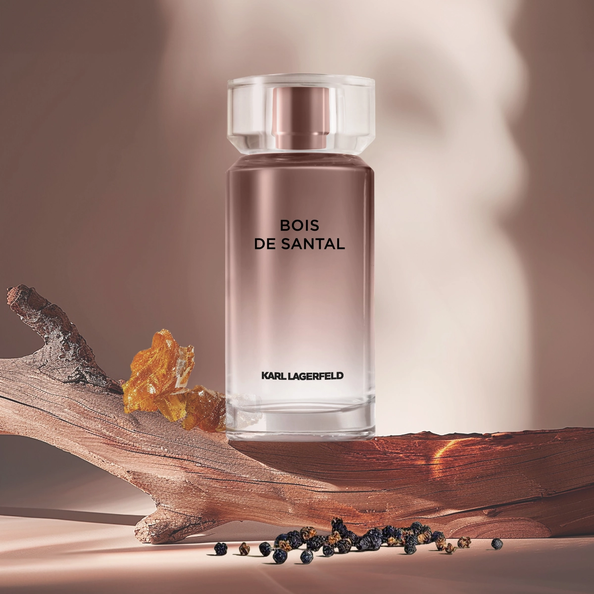 KARL LAGERFELD Bois de Santal