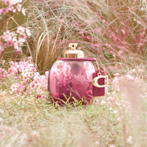 Coach Wild Rose