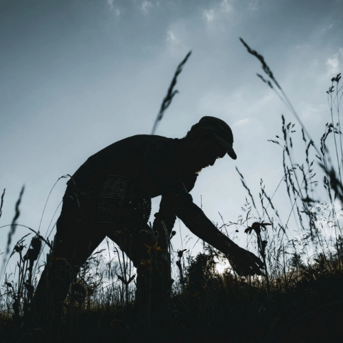 Ekologie kosmetické značky Dr.Hauschka