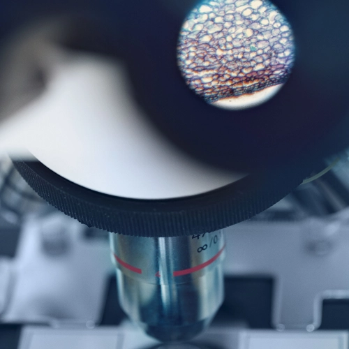 Výzkum Dr. Hauschka