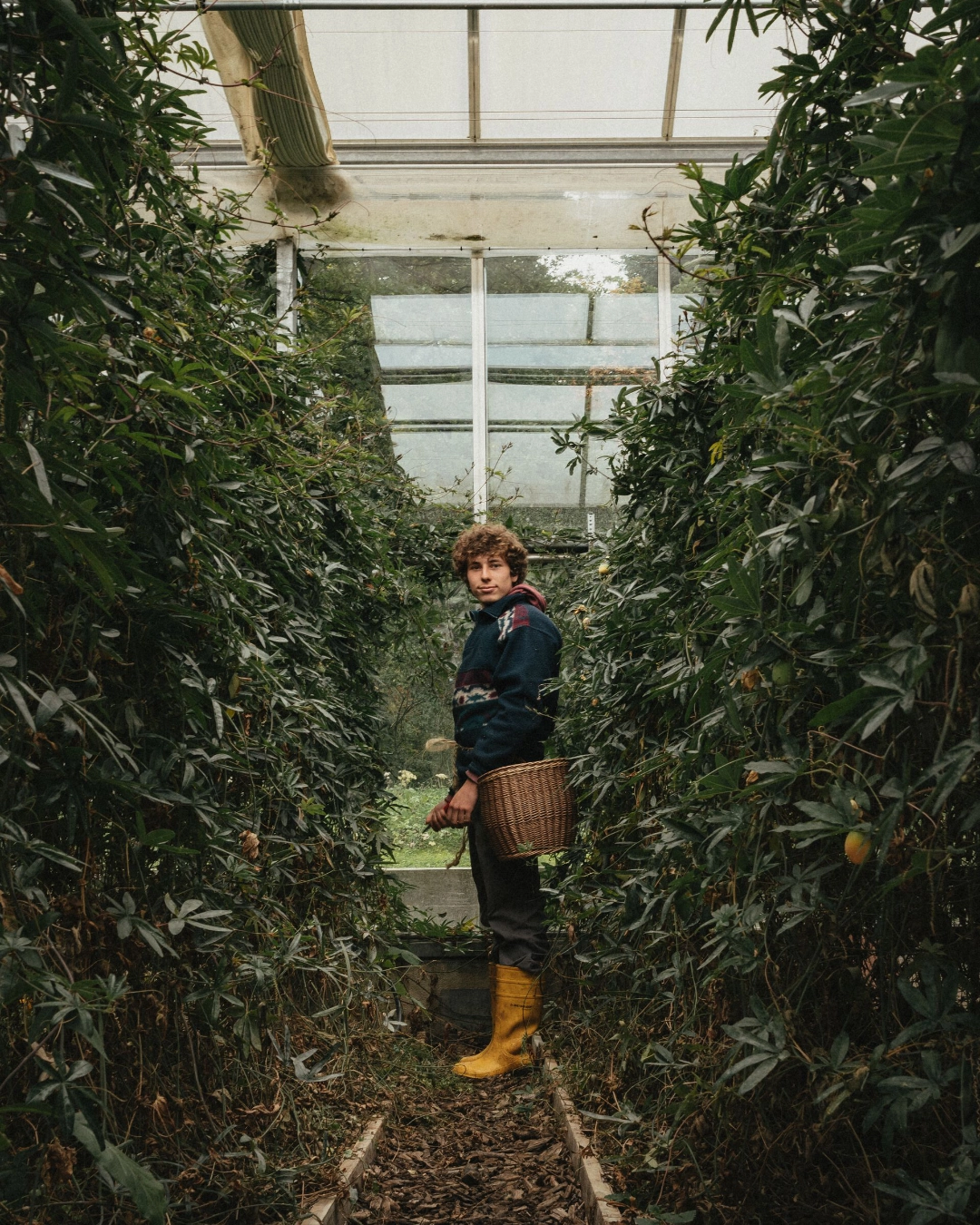 Přírodní kosmetika Dr. Hauschka