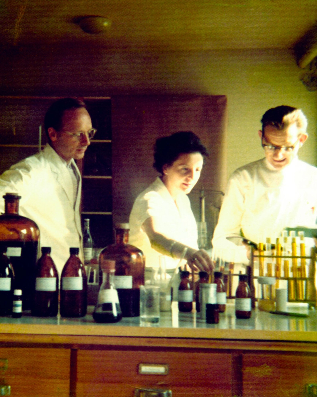 Elisabeth Sigmund, Dr. Hauschka