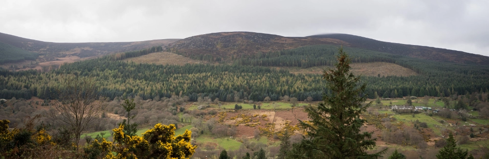 Glencree valley landscape Max Benjamin