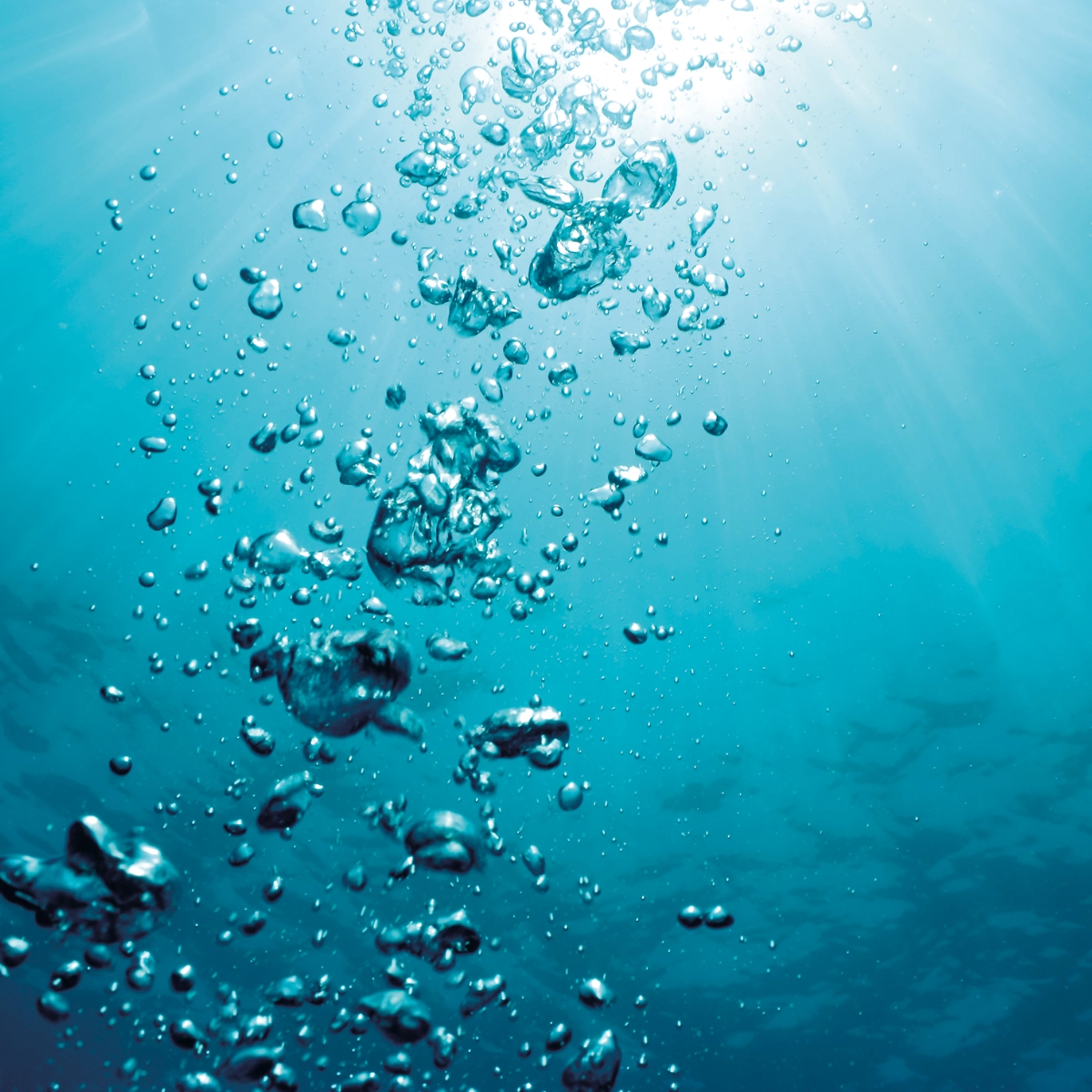 Oceán, životodárná voda