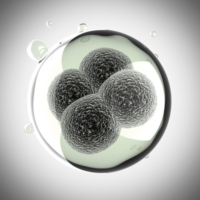 Výzkumy kmenových buněk inspirují kosmetiku Orlane